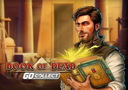 Book of Dead GO Collect game artwork